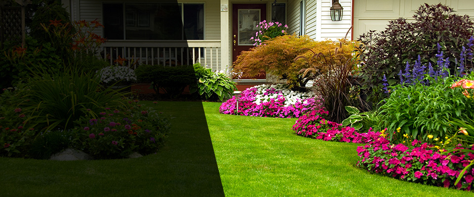 Hawley Landscapers